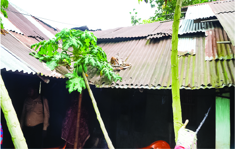 Image of মো: রিপন ফকির